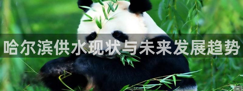 qy球友会体育(中国)官方网站