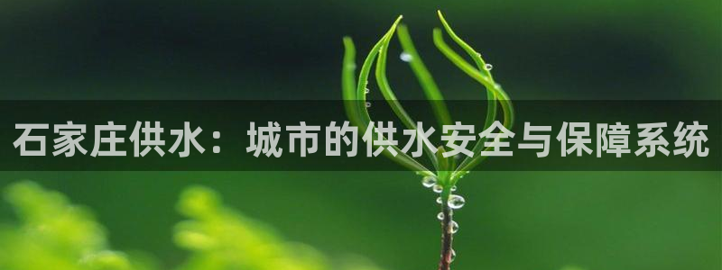球友会提现