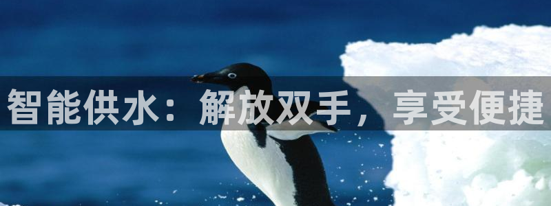 球友会登录地址