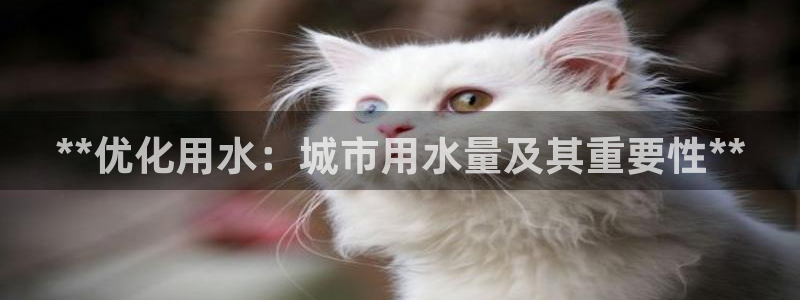 QY球友会体育官方平台