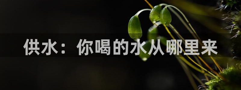 球友会体育app下载