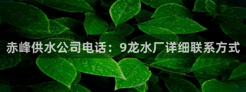 球友会登录不上的原因