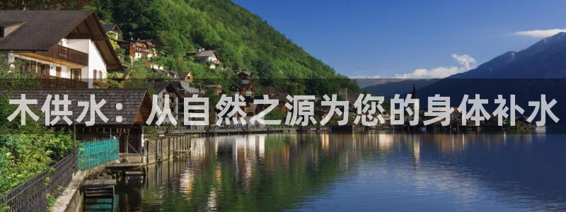 球友会下载安装