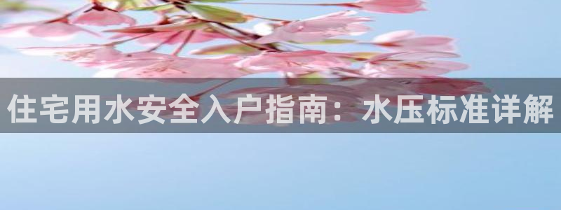球友会比赛结果查询系统