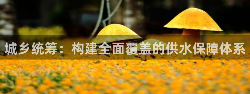 球友会·(QY)官方网站