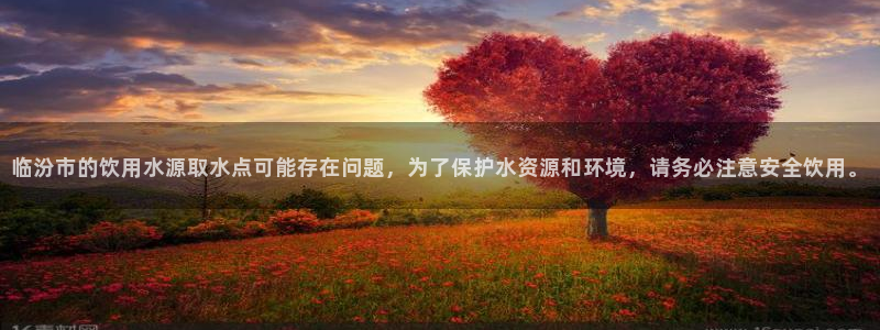 球友会网站多少钱一个