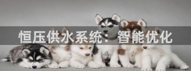 球友会体育app官方版下载安装苹果手机