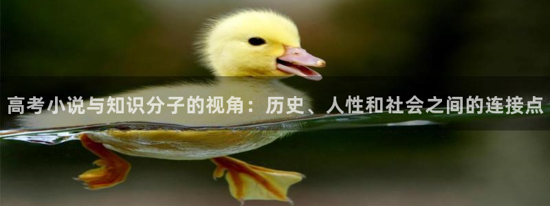 趣笔阁：高考小说与知识分子的视角：历史、人性和社会之间的连接点