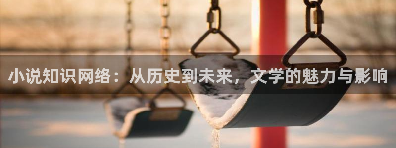 阿宾正传1—72与钰慧趣笔阁：小说知识网络：从历史到未来，文学的魅力与影响