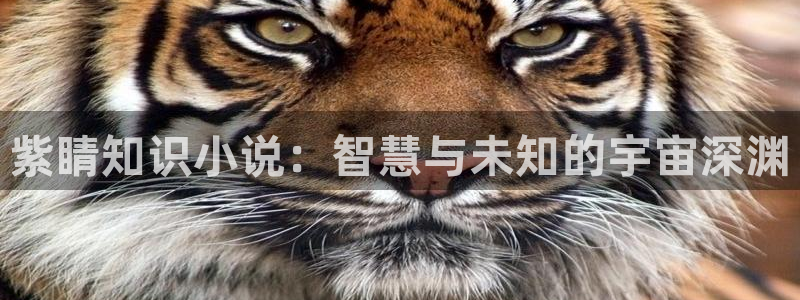 斗破苍穹小说趣笔阁：紫睛知识小说：智慧与未知的宇宙深渊