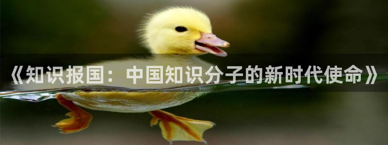 趣笔阁下载：《知识报国：中国知识分子的新时代使命》